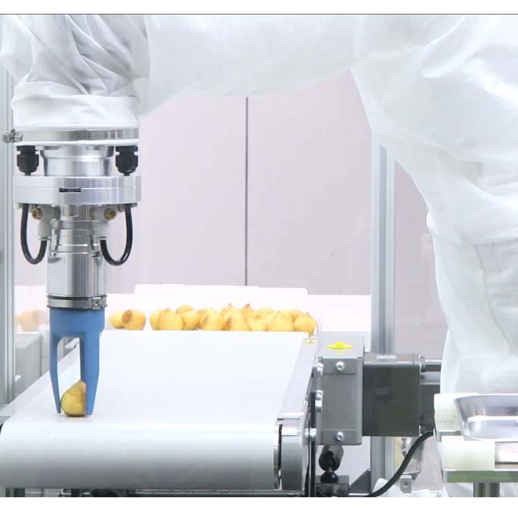 ذراع روبوتية CNC سداسية المحاو - مراجعة Robot Gripper وسعره
